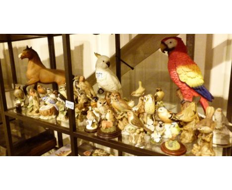 CERAMIC BIRDS. Shelf of ceramic birds and a Melba horse