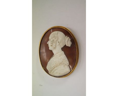 A Victorian carved shell cameo portrait, 6.2 x 4.8cm oval, in a gilt brass brooch mount.  Condition Report: Overall condition