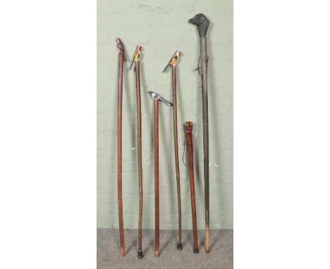 A collection of walking stick and canes each featuring carved pommels. Subjects include black Labrador, Woodpecker, Magpie, e