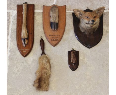 Taxidermy; an early 20th century fox mask upon an oak shield shaped plinth, 28cm high, a deer foot applied to an oak plinth a