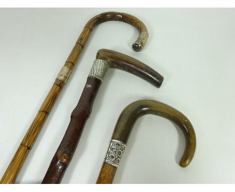 Early 20th Century walking stick with horn handle and hallmarked silver collar, walking cane with hallmarked silver mounts an