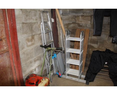 An aluminium step ladder, one other ladder and a platform etc.