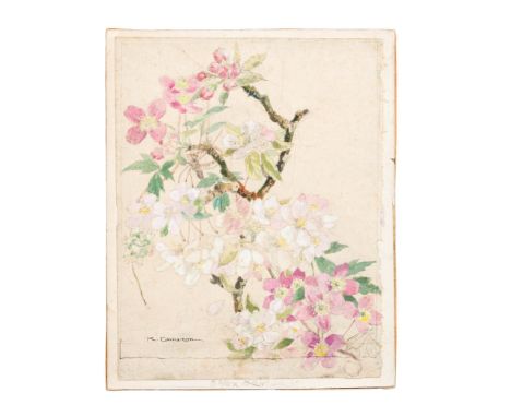 Katharine Cameron,  Scottish 1874-1965- A study of apple blossom; pencil and watercolour on paper, signed 'K. Cameron' (lower