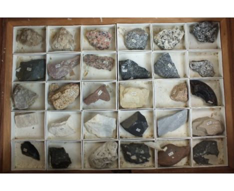 A cased collection of minerals, rocks and fossils, collated by James Tennant, 19th century, the case housing four trays of ap