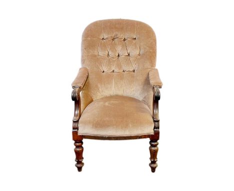 An early Victorian button back mahogany framed armchair. With scroll end open arms and turned and leaf carved baluster front 