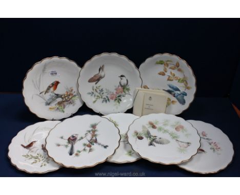 Eight Royal Worcester 'Birds by Dorothy Doughty' dessert Plates