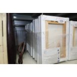 A packet of A5 canvases