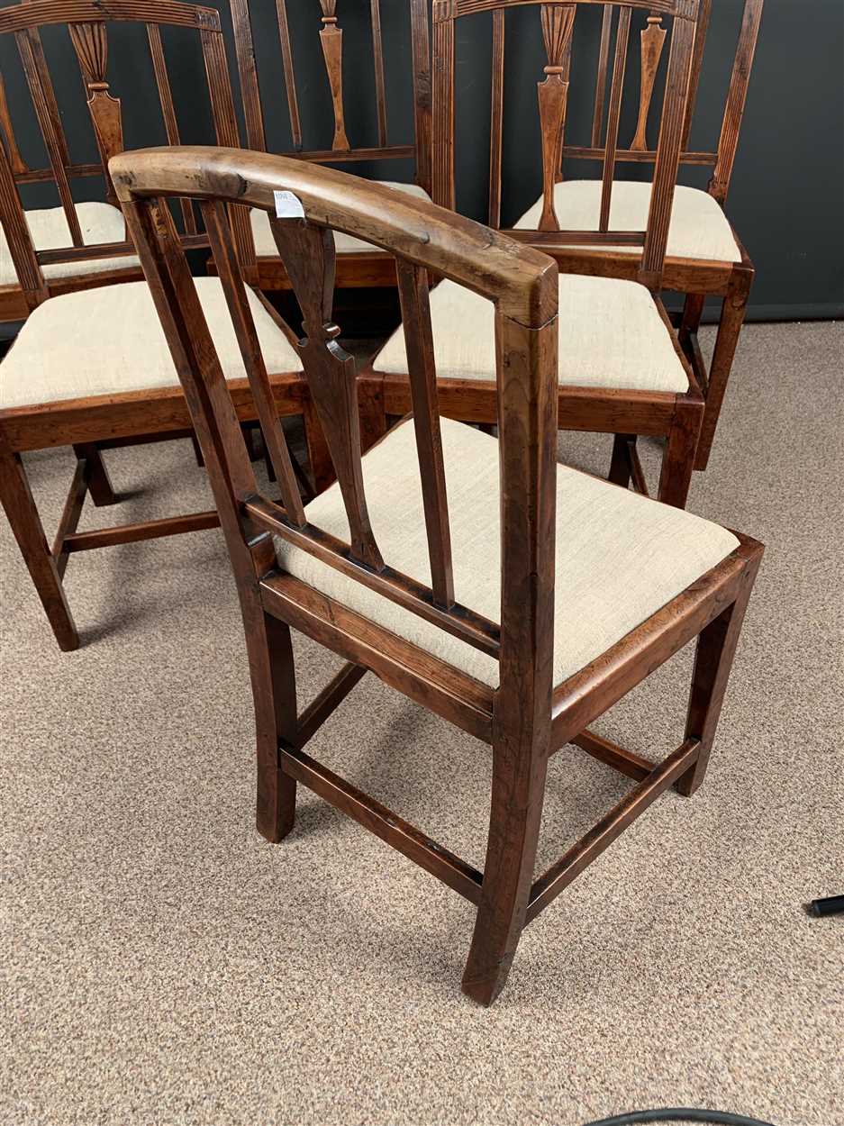 A set of six late III Sheraton yew wood dining chairs, in