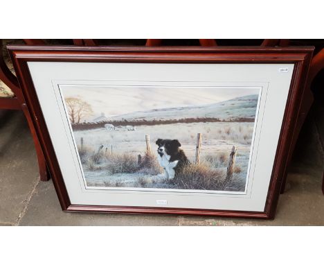 Steven Townsend (b.1955), 'First Light', 265/600, signed limited edition print of a collie dog, 56.5cm x 41.5cm, bearing Nort