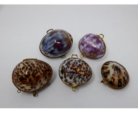 A collection of hinged sea shell trinket boxes. Four made from polished cowrie shells and one made from a limpet shell. With 