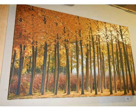 A framed and glazed print of a forest in autumn. COLLECT ONLY.