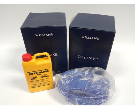 Various carpet cleaning accessories, to include Williams Carpet, Wolf tool bag, microfibre cloths, etc, and a 12 volt heated 