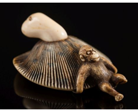A Japanese carved and stained ivory netsuke: in the form of a monkey attempting to lift a giant mushroom, 19th century, 5.5cm
