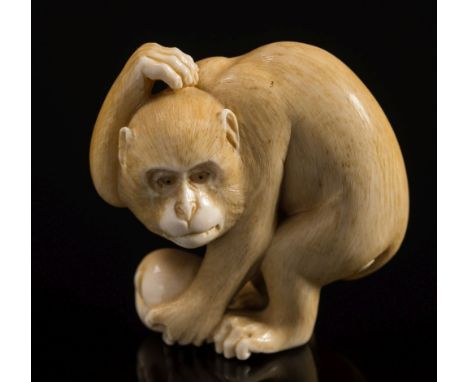 A Japanese carved ivory netsuke of a monkey: scratching his head and holding a biwa fruit, with inset eyes, attributed to Kan