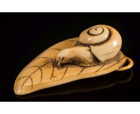 A Japanese carved ivory netsuke of a snail on a leaf: unsigned, 6cm. long.