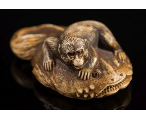 A Japanese carved ivory netsuke of a monkey soothing the god of earthquakes 'Namazu: signed Shungyoku, 5cm. long.