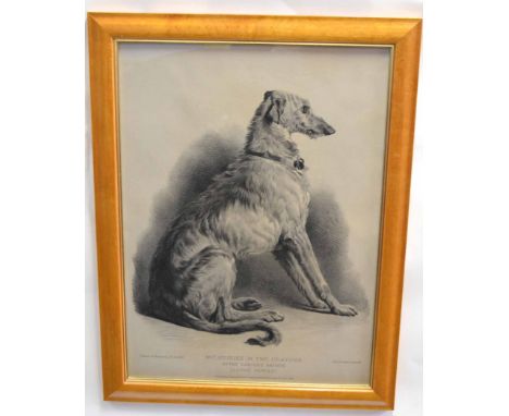 After Sir Edwin Landseer, engraved by J E Goodall, black and white lithograph, "No7 studies in two crayons" (dog study), 60 x