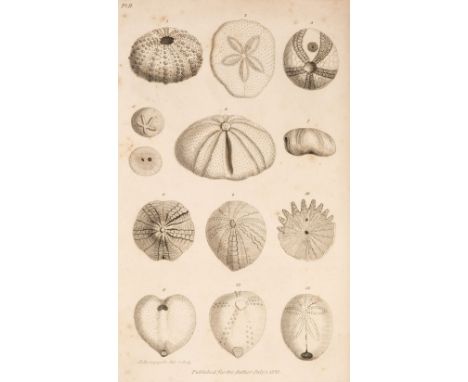 Parkinson (James). Outlines of Oryctology. An Introduction to the Study of Fossil Organic Remains; especially of those found 