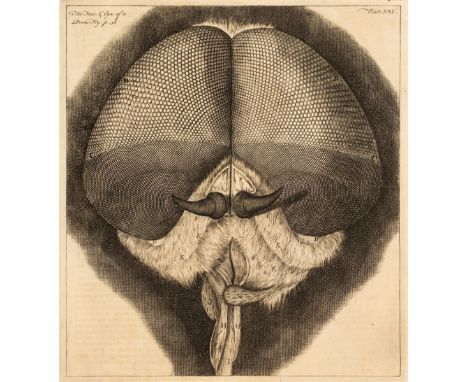 Hooke (Robert). Micrographia Restaurata: Or, the Copper-Plates of Dr. Hooke's Wonderful Discoveries by the Microscope, Reprin