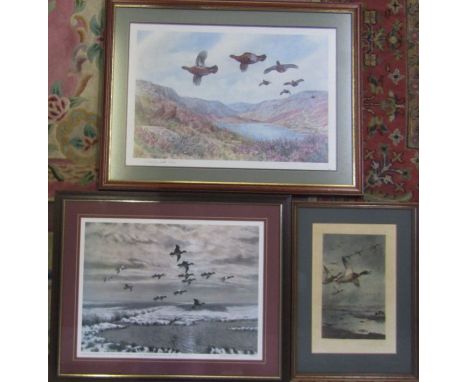 Framed limited edition print by Julian Novorol 359/500 pencil signed and numbered by the artist 65.5 cm x 53 cm, limited edit