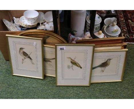 Collection of ornithological prints to include Vintage oval study of Wildfowl 