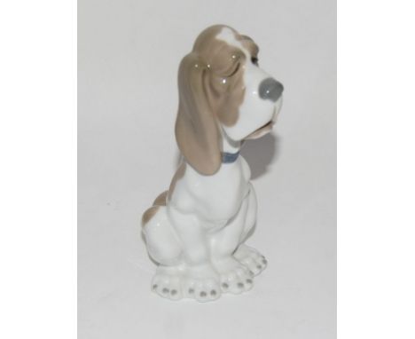 Nao Dog