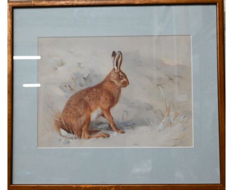 After Archibald Thorburn - print of a hare, 20 x 28 cm to/w a watercolour of a field in France, signed lower right, 29 x 21 c