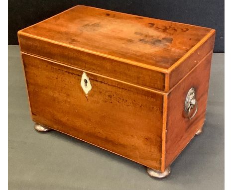 A 19th century mahogany rectangular tea caddy, two lidded compartments, 19cm wide, c.1800 