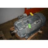 Bird 300 HP Motor, 1780 RPM RIGGING/LOADING FEE $30