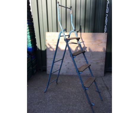 Old Metal Step Ladder 