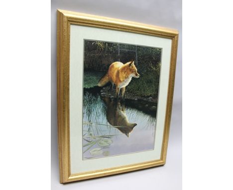 AFTER B.L. MARRIS "Alert Fox" a limited edition colour print, signed in pencil, No.783/1500, 64cm x 45cm, mounted in gilt gla