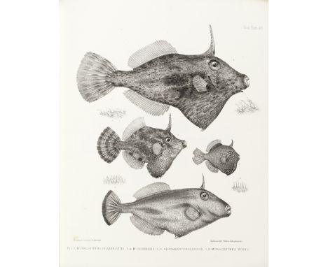 RICHARDSON (JOHN)Ichthyology of the Voyage of H.M.S. Erebus &amp; Terror, Under the Command of Captain Sir James Clark Ross [