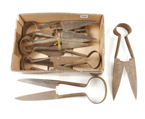 Seven sheep shears some light rust G 