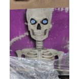 Large Halloween Skeleton, and Chimes toys