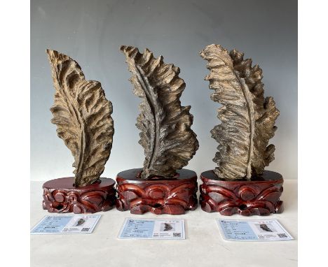 The old Nha Trang agarwood ornaments are oily and have a light fragrance.  Freight: 1.International Freight: Foreign shipping
