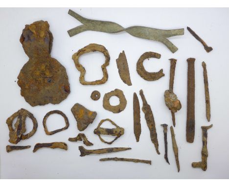 A collection of iron metal detecting finds including an axe head 