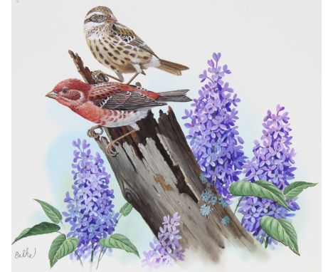 Don Balke (North Carolina, B. 1933) "Purple Finch and Lilac" Signed lower left. Original Watercolor on Illustration Board. Pr