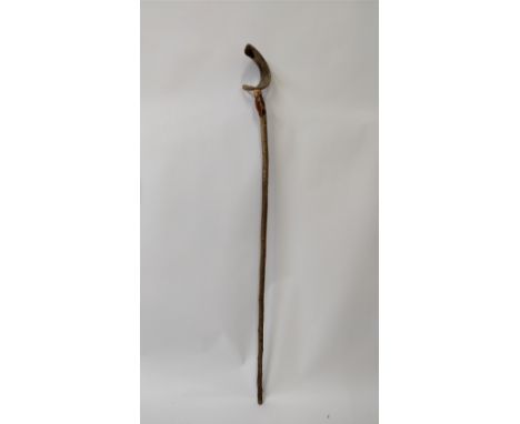 A large walking stick, top carved with a horn handle in the form of a fish 