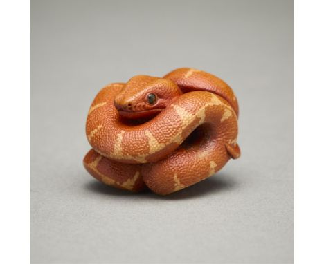 Nick Lamb (English, b. 1948). Carved polychrome boxwood ojime depicting a curled boa constrictor snake. Initialed NKL along a