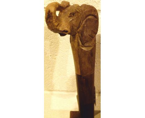 Elephants head walking stick 