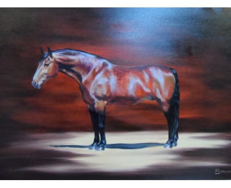 M B Meyer oil on board, portrait of a horse, framed,The oil measures 31 x 46 cm 