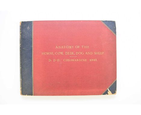MANUSCRIPT. Anatomy of the Horse, Cow, Deer, Dog and Sheep, by Doris Donaldson-Hudson, Cheswardine, Shropshire, 1887. Landsca