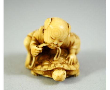 A JAPANESE CARVED IVORY NETSUKE, of a boy upon a turtle, 3.5cm wide.