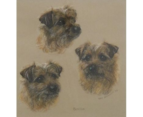 Mary Browning pastel triple portrait of a border terrier dog, 'Brillo', signed and dated 85 lower right, 43 x 41cm