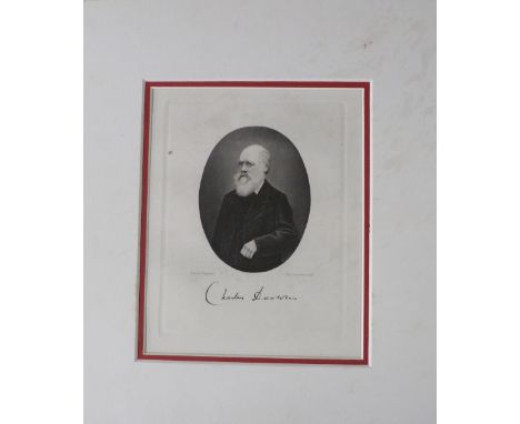 Charles Darwin, steel engraved portrait by August Weger (1823-1892) after a photograph with facsimile signature beneath in ca