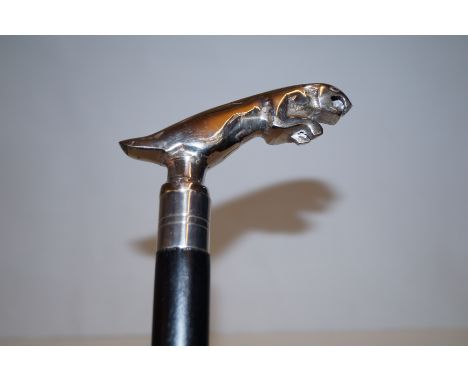 Jaguar walking stick