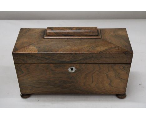 A REGENCY ROSEWOOD SARCOPHAGUS SHAPED TEA CADDY WITH HINGED LID ON BUN FEET