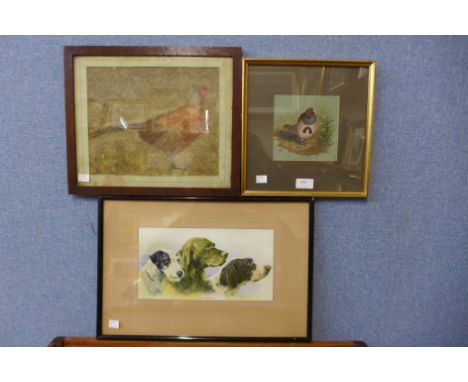 Two watercolours of game birds and a hunting dog print 