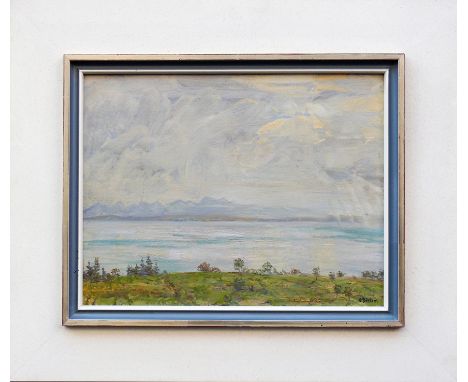 Dieter, Hans (1881 Mannheim - 1968 Meersburg)"Bodenseelandschaft"; Blick über Ufer auf Obersee; im Hintergrund Schweizer Alpe