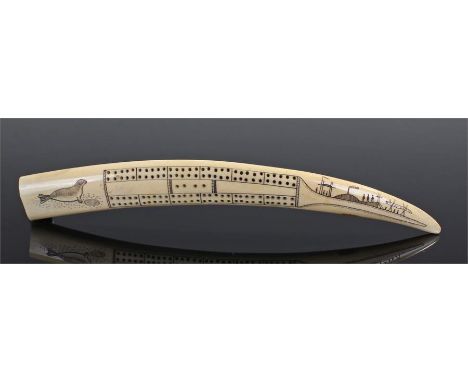 Earry 20th Century Eskimo scrimshaw tusk cribbage board, the walrus tusk centred on one side by a cribbage board flanked by a